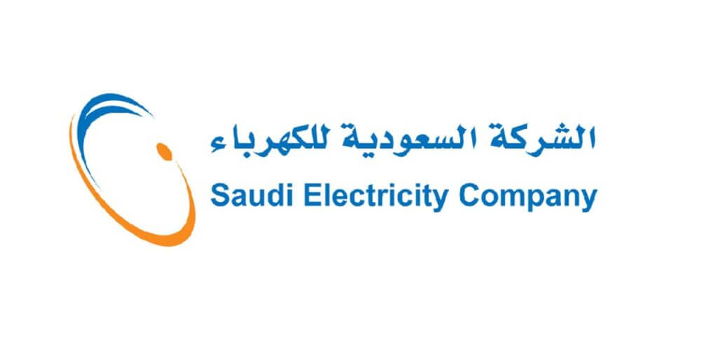 Electricity company