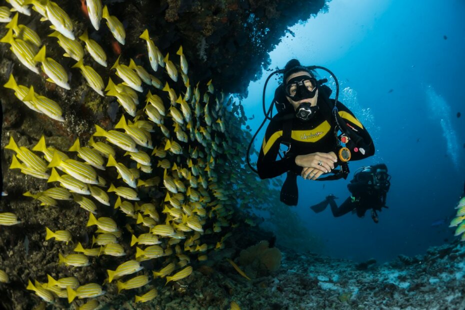 Red Sea coastline